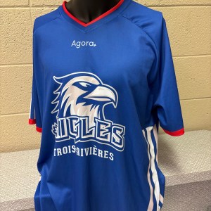 ARTICLE DE COLLECTION - Chandail du match thématique "hockey" porté par un joueur le 12 juillet 2025