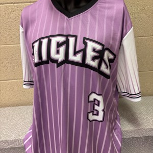 ARTICLE DE COLLECTION - Chandail du match thématique "Baseball pour vaincre le cancer" porté par un joueur le 13 août 2025